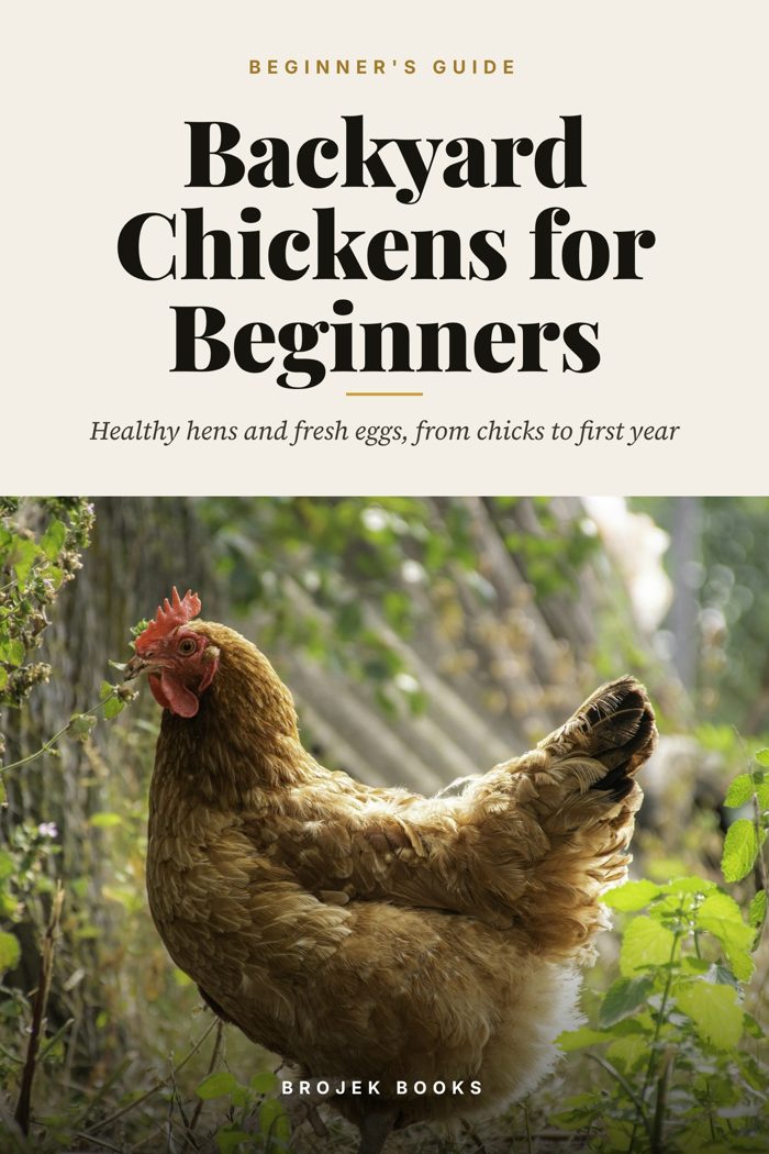 Backyard Chickens for Beginners ebook cover