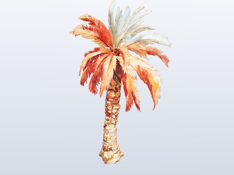 Autumn Palm Tree 3D model