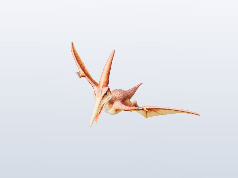 Pterosaur Glider 3D model