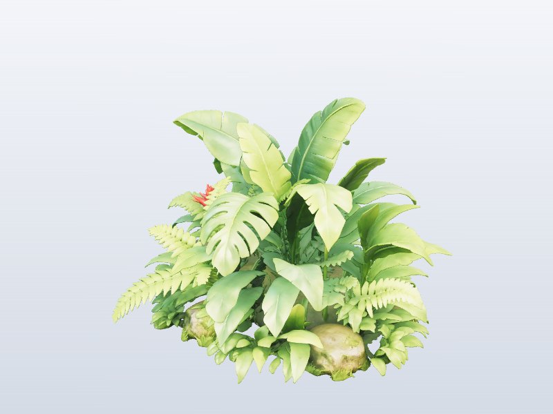 Tropical Plant 3D model