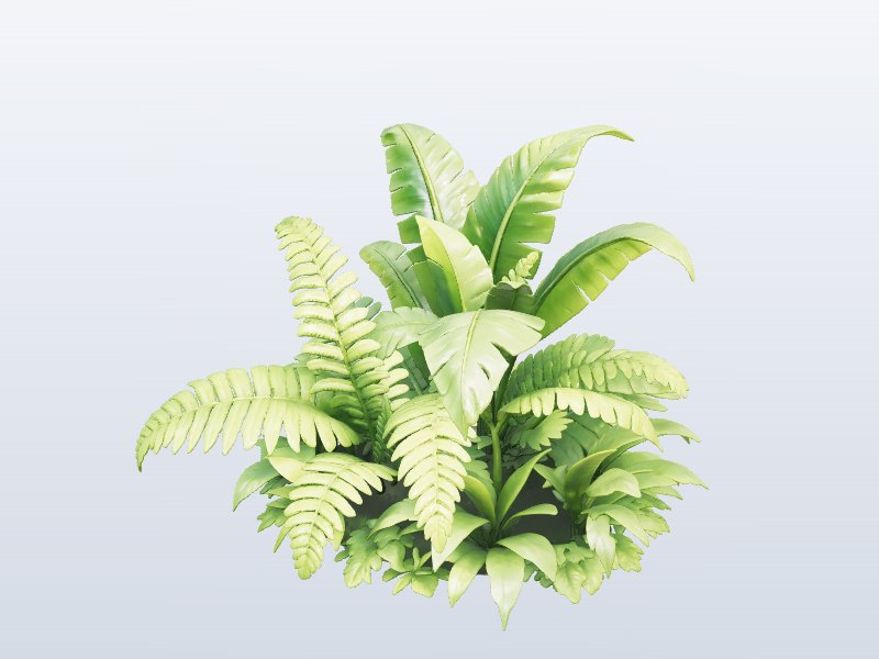 Fern Bush 3D model